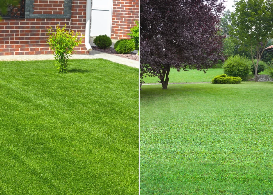 Jeśli wiosną nie zdążysz zasiać trawy, możesz zrobić to także pod koniec sierpnia lub we wrześniu