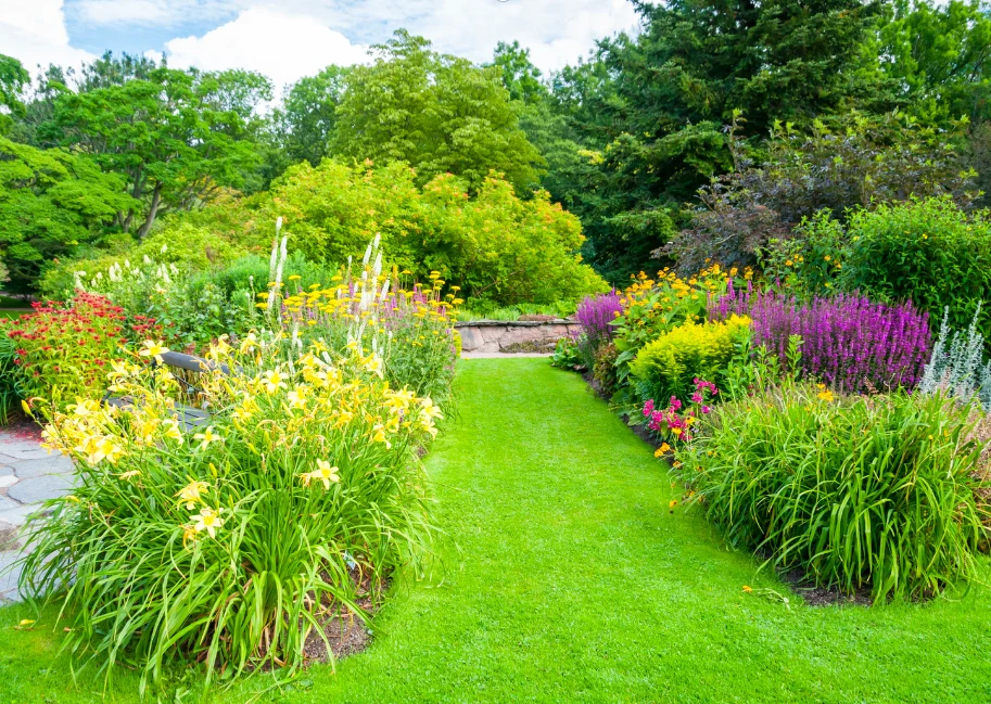 Najlepiej wybierać te odmiany, które szybko rosną, są odporne na deptanie i mają wąskie, zielone źdźbła