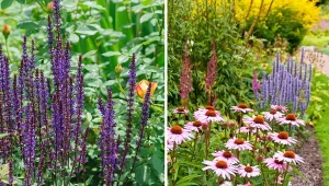 Jakie kwiaty wybierać na rabaty? Najlepiej takie, które tworzą spójną kompozycję, a przy tym doskonale się ze sobą czują. Jeśli dodatkowo przyciągają wzrok przez cały sezon, tym lepiej.