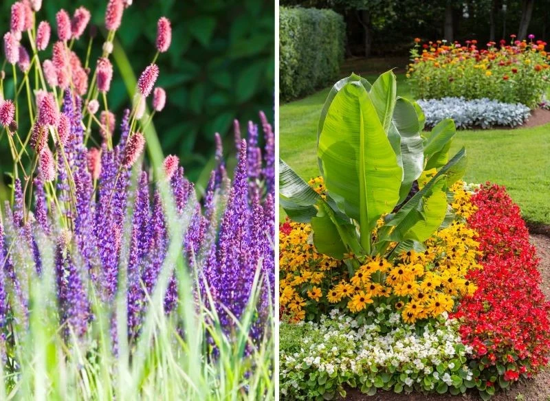 Rabata może być ukształtowana jak od linijki i idealnie wpasowana w stylistykę ogrodu, ale równie dobrze możesz postawić na naturalność, pozostawia...