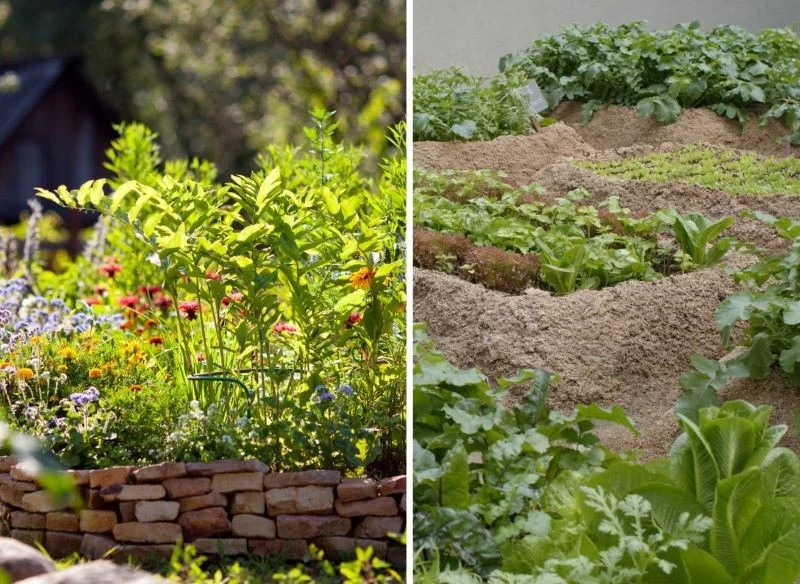 Wysokie grządki nie muszą powstać w skrzyniach