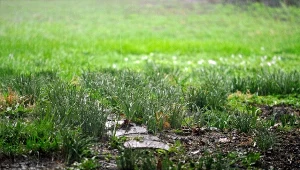Gdy deszcz zalewa trawy i rabaty, cała ciężka praca nad ich uprawą i pielęgnacją idzie na marne. Nie pozwól, aby tak się działo - zadbaj o kontrolowaną gospodarkę wodną już dziś.