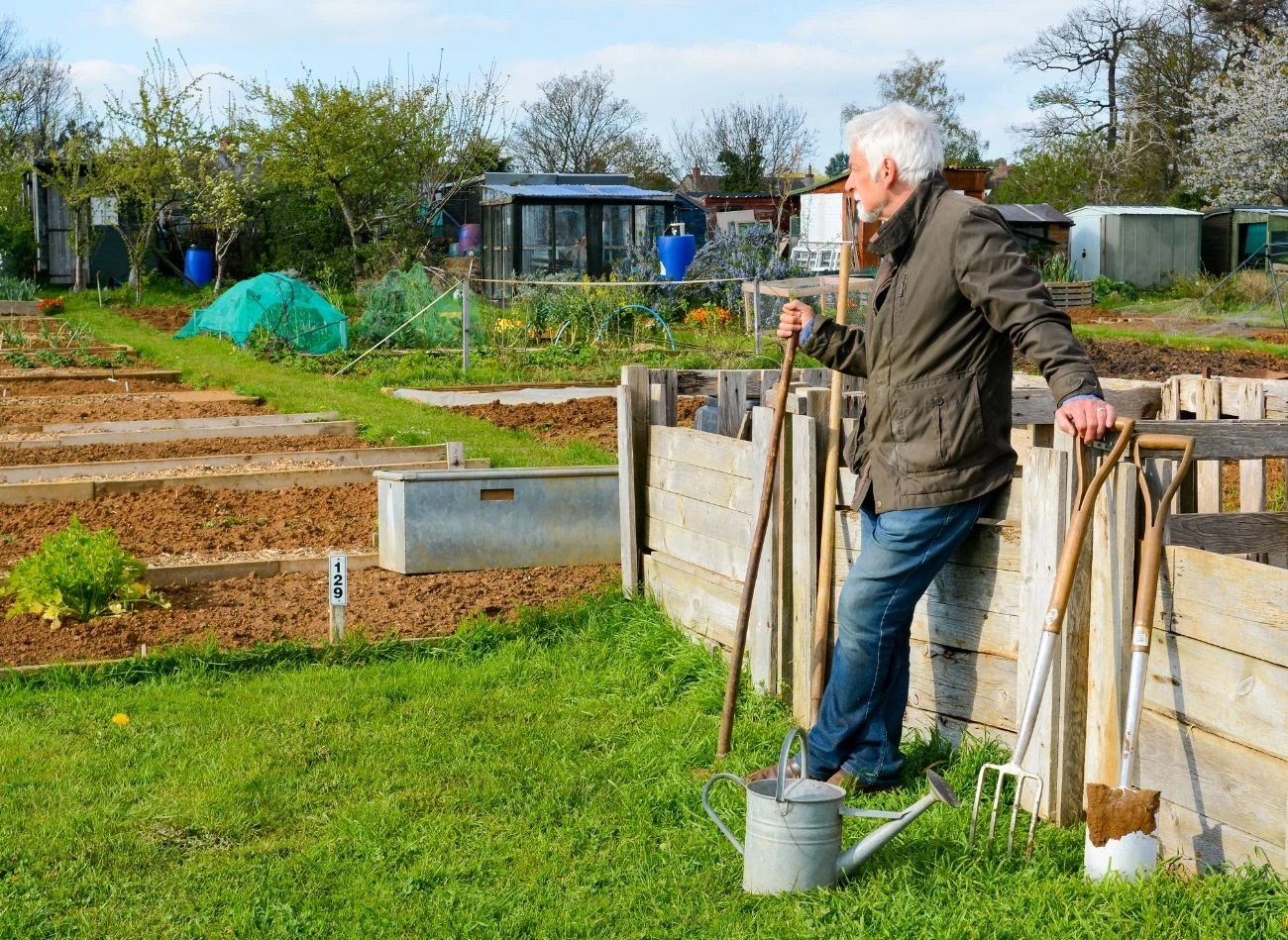 Nabycie praw do dzierżawienia działki ROD wiąże się z konkretnymi prawami oraz obowiązkami