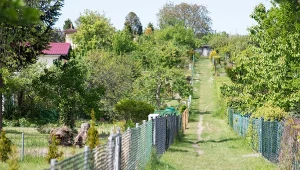 Uważaj na kontrole na działkach ROD. Kara może wynieść nawet 5000 zł./EastNews