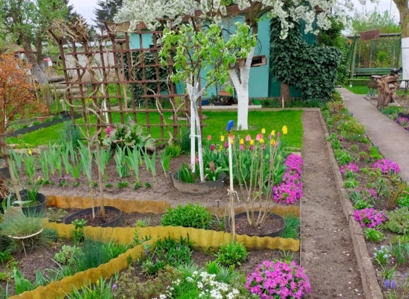 Sprawdź, za co możemy zostać ukarani na swojej działce ROD