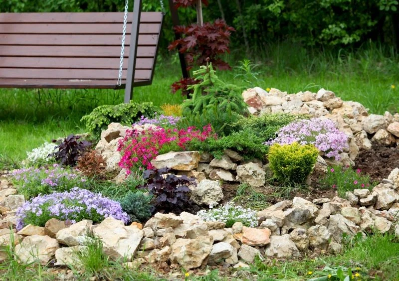 Warto dobrze przemyśleć, co posadzimy na skalniaku