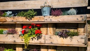Kwietnik z palet – gdzie się sprawdzi? Tam, gdzie masz do zamaskowania pustą ścianę, brakuje osłony lub w miejscach, gdzie na małej przestrzeni chcesz posadzić więcej roślin.