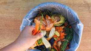 Zamiast wyrzucać, skórki z owoców i warzyw wykorzystaj w ogrodzie.