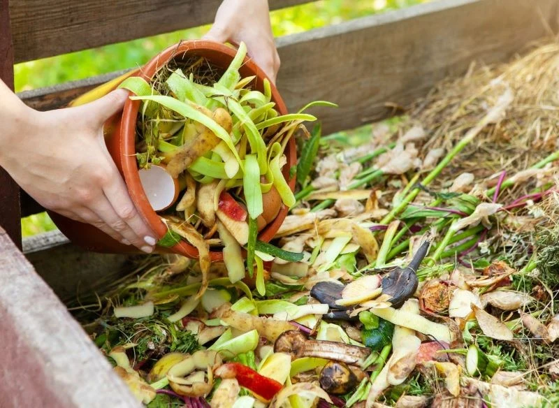 Jak kompostować resztki owoców