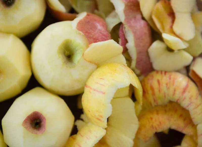 Skórki z jabłek warto zakopać w ogrodzie lub wrzucić na kompost