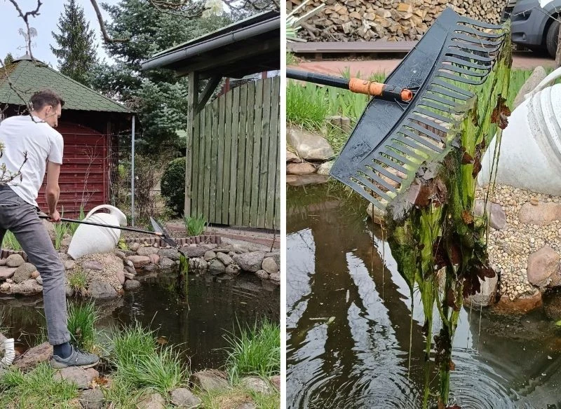 Do ręcznego wyjmowania glonów warto wybrać dobrej jakości grabie, ponieważ mokra masa z liśćmi i osadami sporo waży