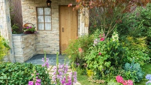 Niektóre rośliny nie mogą rosnąć w bliskim sąsiedztwie.