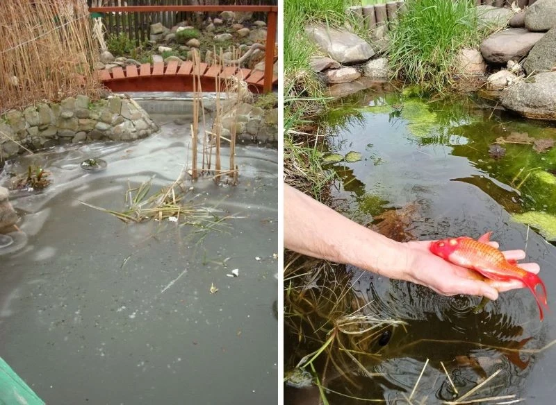 Zimą pod lodem, w którym wykonamy otwory napowietrzające, bez trudu przezimuje wiele gatunków ryb