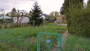 Kupiłeś działkę ROD – czeka cię wiele pracy. Sprawdź, od czego zacząć i na co zwrócić szczególną uwagę. Nie zawsze w ogródku czeka gotowa aranżacja. Fot. Alicja Rabiko-Woźniak/deccoria,pl