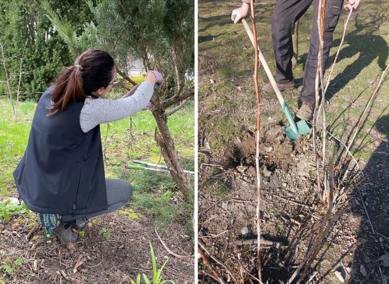 Przystępując do prac przy roślinach, warto mieć zakończone wszystkie poprzednie etapy