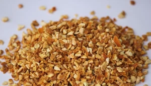 Nie wyrzucaj skórek z pomarańczy. Sprawdź, jak je wykorzystać w ogrodzie.