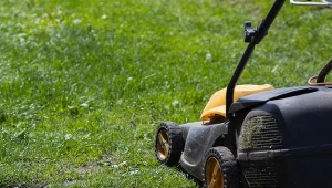 Pierwsze koszenie trawy po zimie. Kiedy kosić trawnik i jak?
