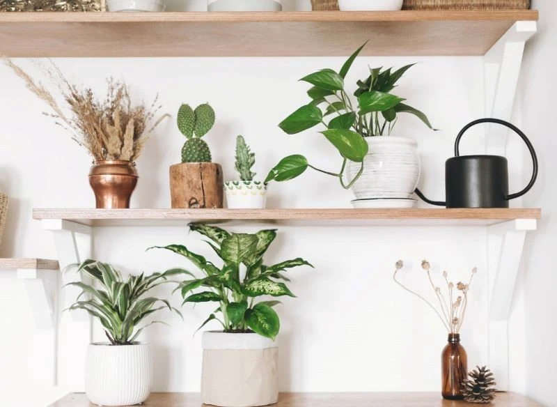 Wyraziste dodatki są niezbędne we wnętrzach utrzymanych w stylu boho glamour