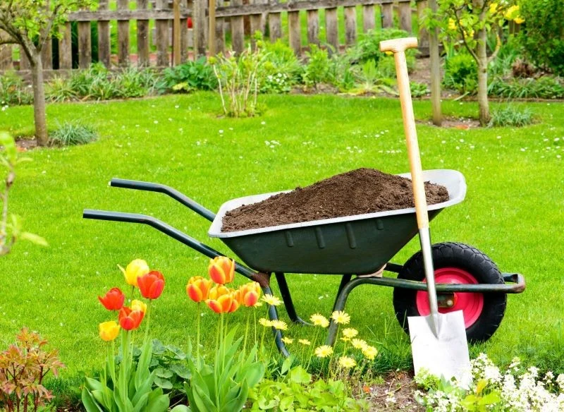 Zanim posadzimy rośliny, zadbajmy o glebę w miejscu, w którym zakładamy rabatę