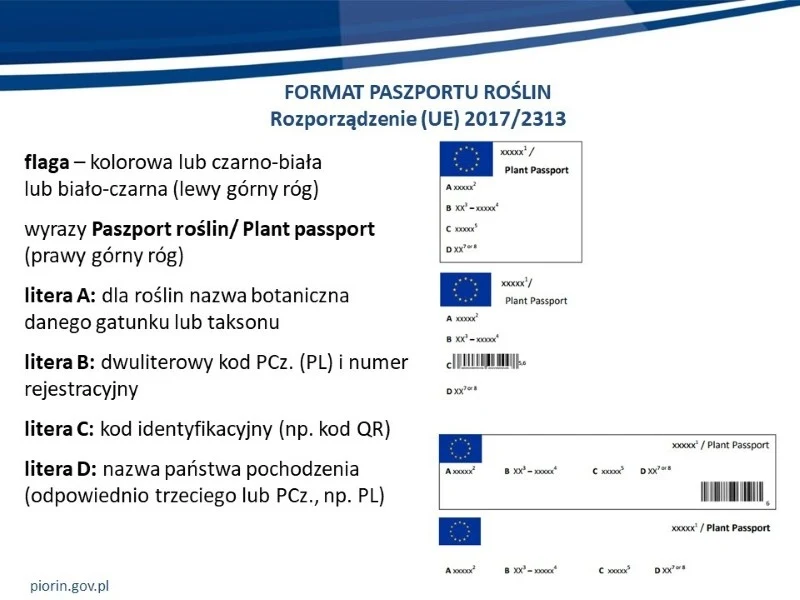 Korzystanie z paszportu roślin gwarantuje, że kupowane sadzonki są wolne od szkodników i chorób