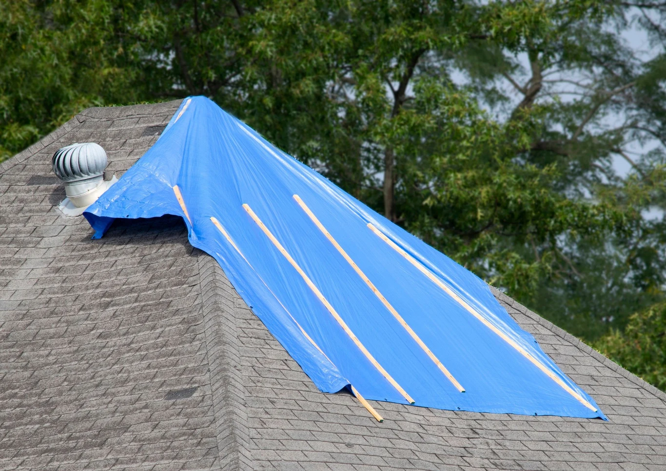 Po złożeniu formularza urząd ma 21 dni na wydanie decyzji