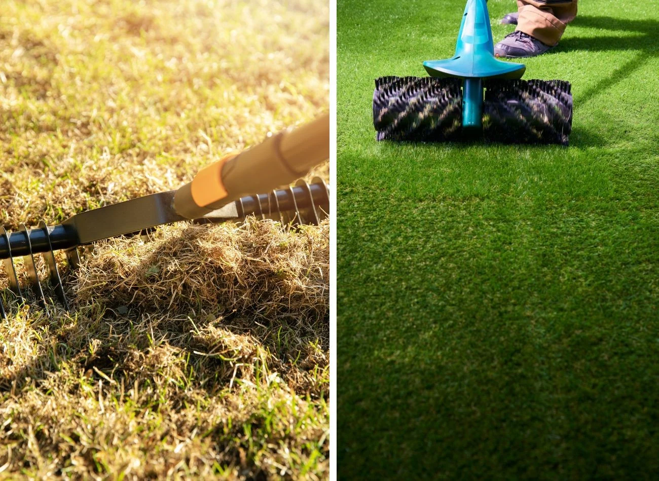 Przed aeracją trawnik musi zostać dokładnie oczyszczony z mchu i pozostałości po zimie