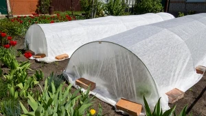 Agrowłóknina jest bardzo przydatna w każdym ogrodzie.