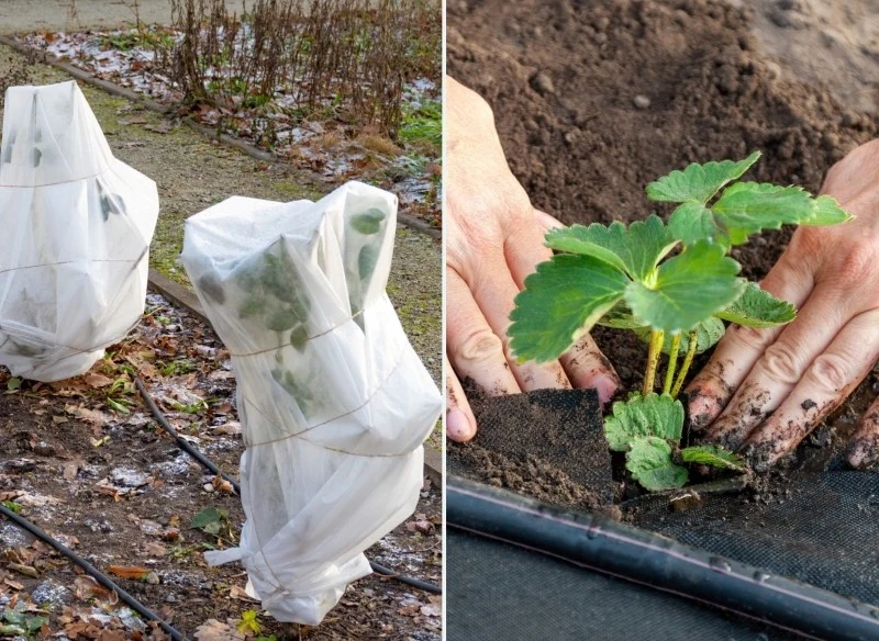 W zależności od zastosowania agrowłóknina występuje w kilku różnych rodzajach