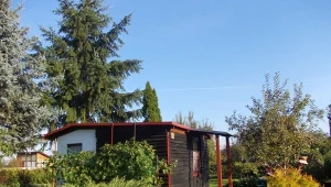 Jakie przepisy obowiązują na ROD? Warto znać zarówno swoje przywileje, jak i obowiązujące zakazy./deccoria.pl