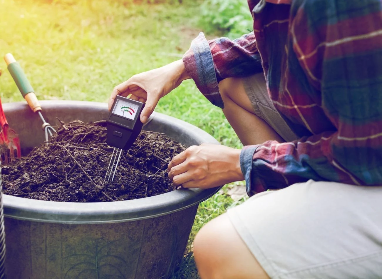 Jak najlepiej sprawdzić odczyn gleby