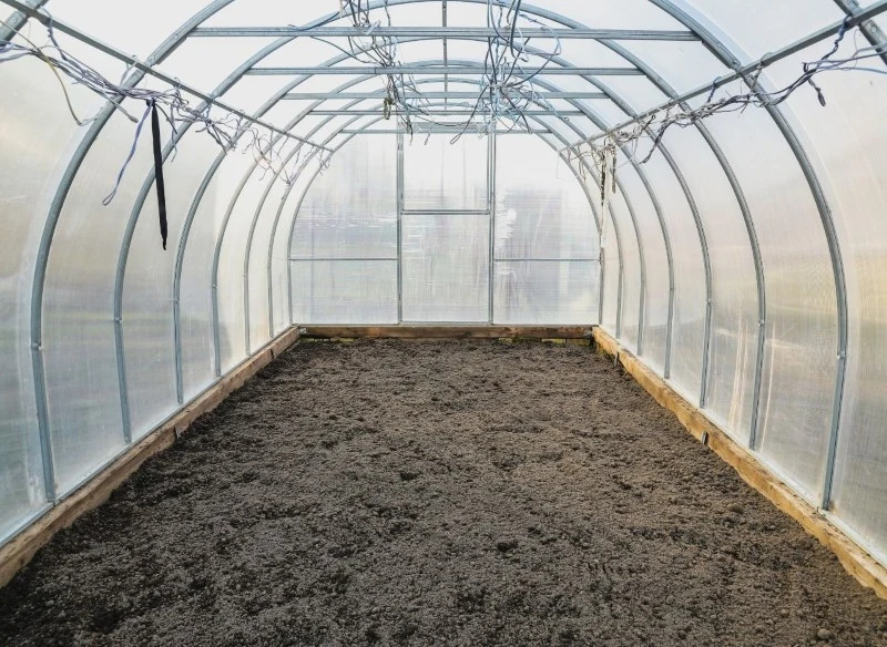 Podłoże w szklarni warto regularnie wymieniać