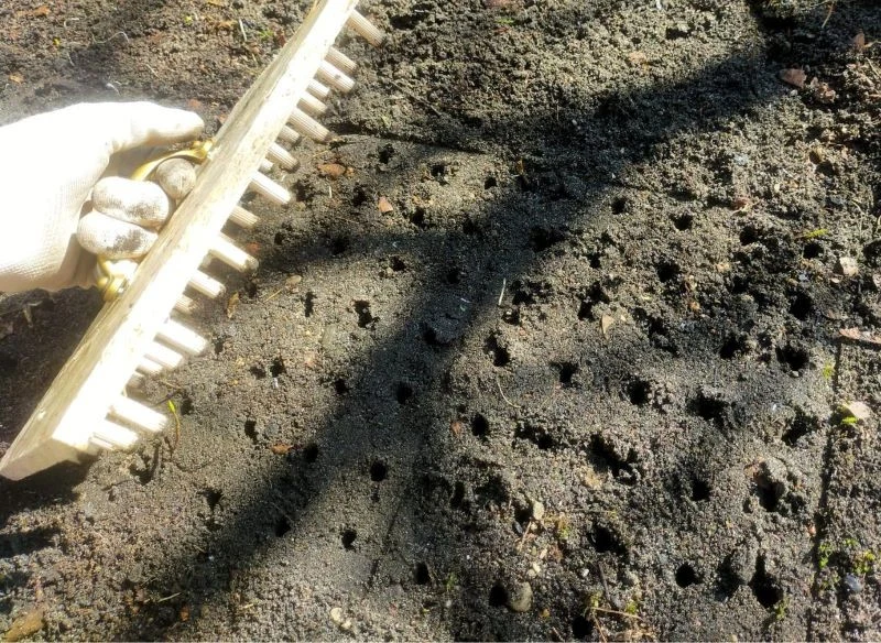 Gdy klej wyschnie i kołki będą zamocowane na stałe, wykonaj próbę odcisków w lekko zwilżonej ziemi