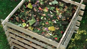 Nie wszystkie odpady, zarówno z ogrodu, jak i z domu, można wrzucać do kompostownika.