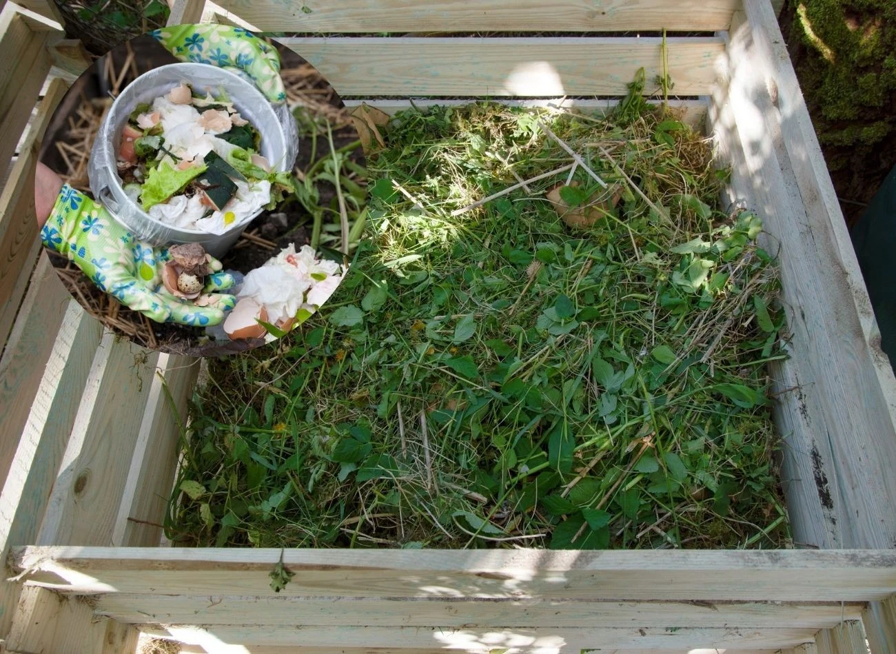 Czego pod żadnym pozorem nie można wrzucać do kompostownika