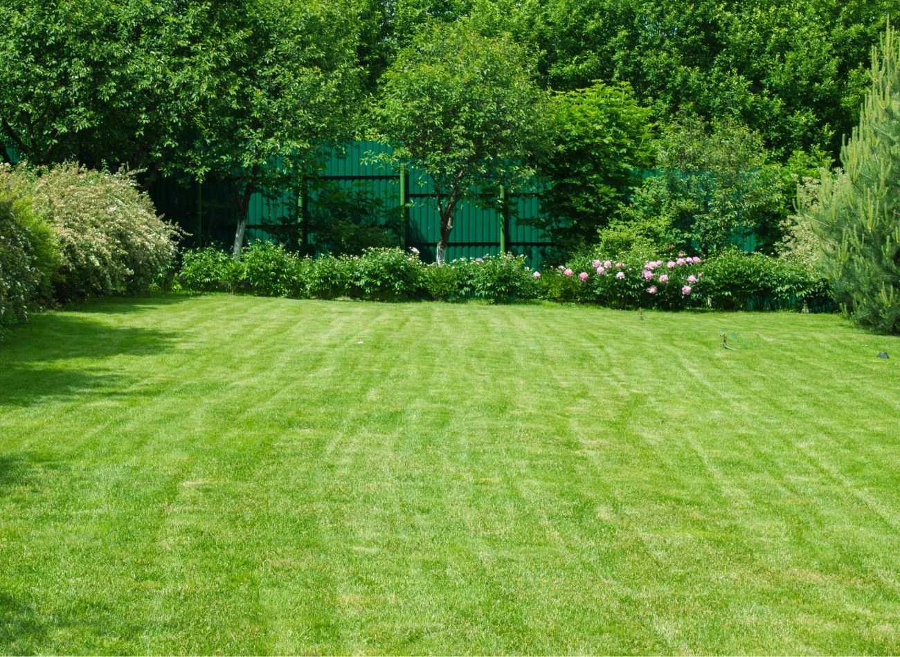 Systematyczna pielęgnacja - koszenie, nawożenie, aeracja i wertykulacja to ważne zabiegi, które pomogą w utrzymaniu zdrowego i ładnego trawnika