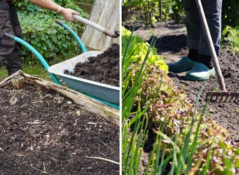 Gotowy kompost wykorzystaj w podniesionych skrzyniach, odświeżanych pod nowe uprawy grządkach warzywnika, zielniku, a także na rabatach kwiatowych,...