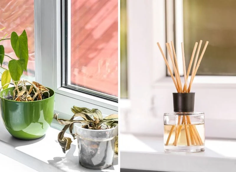 Na parapecie nie powinniśmy stawiać zapachów, świec naturalnych, ale też niektórych roślin, dla których kontakt ze światłem jest równoznaczny z pop...