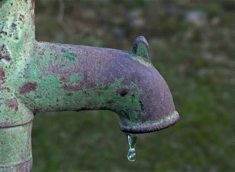 Korzystanie z abisynki bez powolenia jest nielegalne