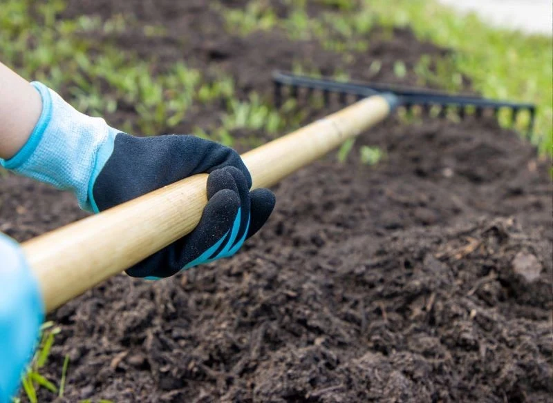 Gips uzupełnia niedobory wapnia i siarki w glebie