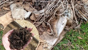 Kartony na zagonach po zimie. Zebrać czy zostawić?