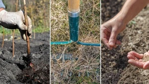 Marzec w ogrodzie to bardzo pracowity czas.