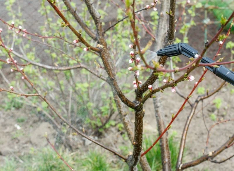 Opryski przynoszą korzyści, ale wiążą się również z ryzykiem