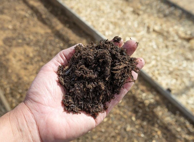 Próbki gleby możemy przekazać stacji chemiczno-rolniczej