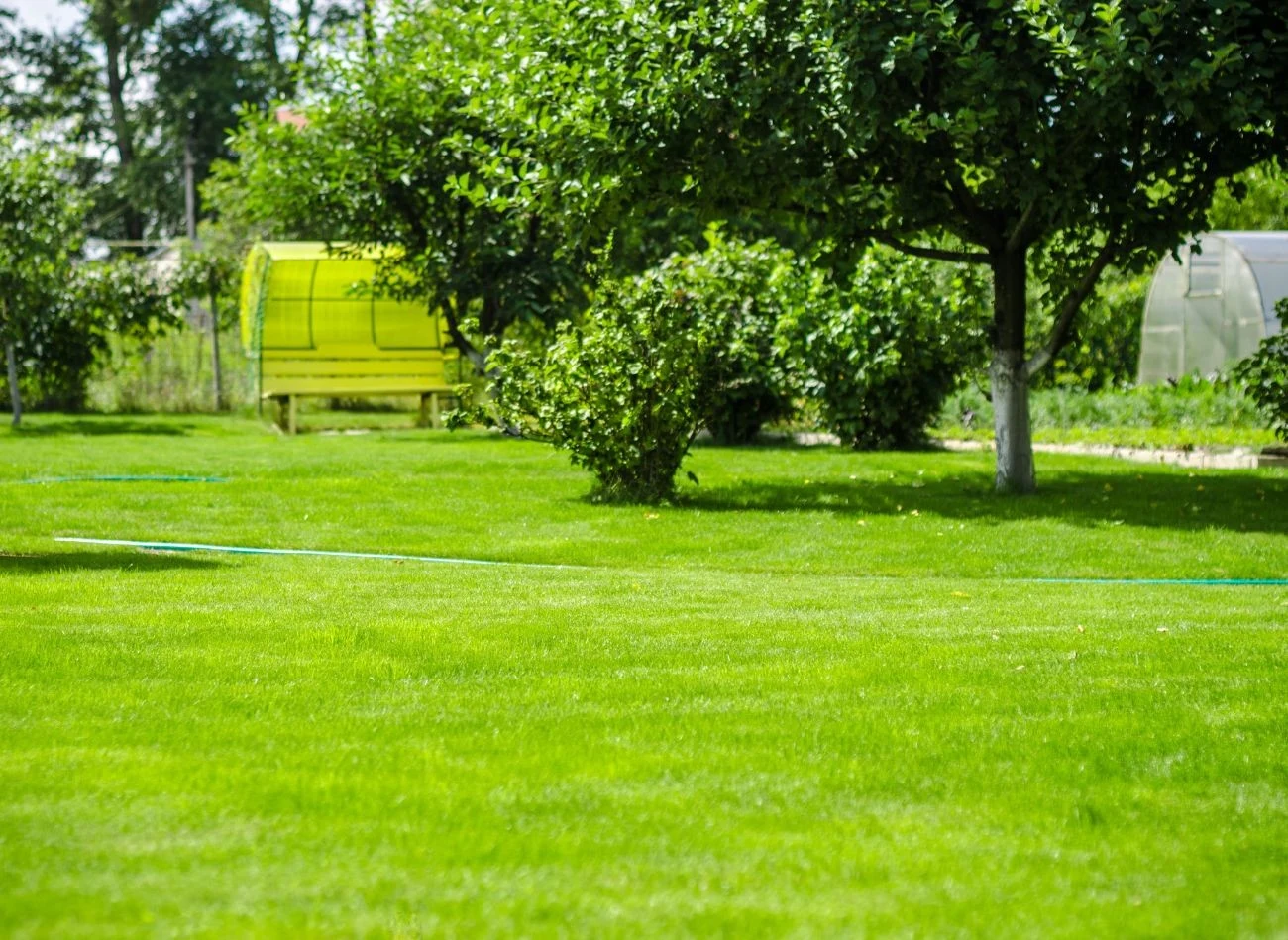 Po zaprojektowaniu ogrodu wiele prac można wykonać samemu, co znacznie obniża koszty