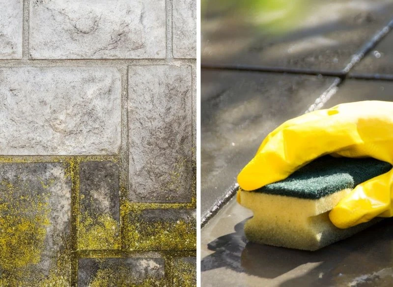 Mech na balkonie to problem, który lubi nawracać