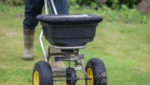 Piaskowanie to sposób na zdrowy i bujny trawnik.