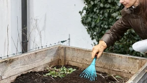 Jak użyźnić glebę w ogrodzie domowym sposobem?