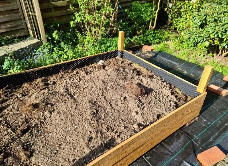 Grządka typu „lasagne” składa się z wielu warstw materii organicznej