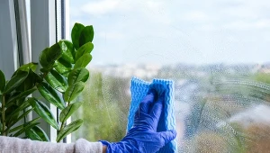 Dzięki domowym preparatom wiosenne mycie okien stanie się mniej uciążliwe.