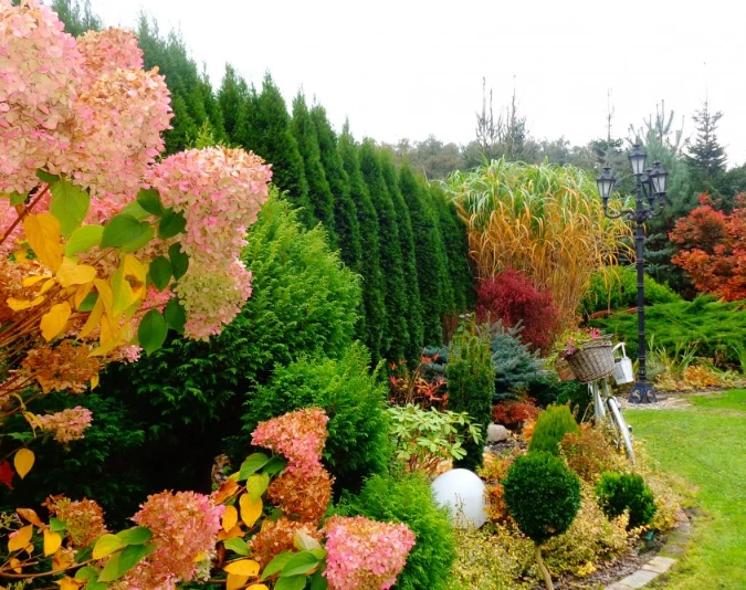 W ogrodzie dla leniwych powinny znaleść się gatunki wymagające minimum uwagi